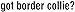Border Collie - Got Border Collie Apron