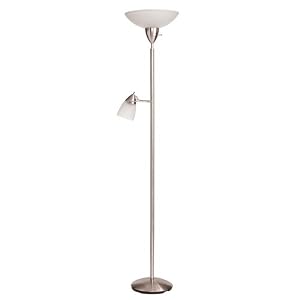 Floor Lamp with Reading Light and Glass/Steel Shades by Adesso
