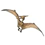 Pteranodon