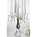 5 LIGHT CRYSTAL CANDELABRA W SILVER SWIRL STEM - candelabra