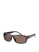 Daniel Klein Gafas de Sol Polarized DK1499COL02 (58 mm) Marrón