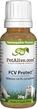 FCV Protect (PetAlive)