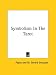 Symbolism In The Tarot