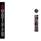 Click here to buy i by The Magnetic Fields .