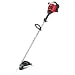 Troy-Bilt 31cc 2-Cycle Gas Powered Straight Shaft String Trimmer #TB65SS