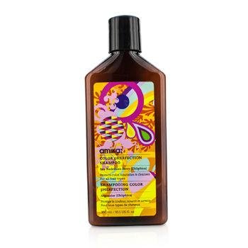 Amika Color Pherfection Shampoo - 10.1 oz