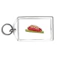 Keychain with butterfly, atala, insect, larva, hairstreak