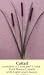 Artificial Cattail