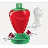 Artline Strawberry Window Feeder (12-oz feeder - 6 1/8'' x 3.25'' x 6.5'')