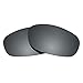 Revant Polarized Replacement Lenses Revo Guide Extreme RE4063 Black Chrome MirrorShield