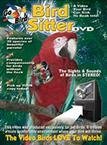 Bird Sitter
