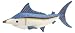 Plush Aquatic Wonders Marlin 17