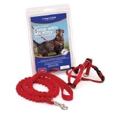 Premier Come with me Kitty Harness Small Electric Lime by Premier