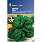 Eigenschaften Kiepenkerl  / Spinat, 'Matador'