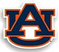 NCAA Auburn Tigers 12 inch Vinyl Magnet