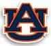 Auburn Tigers 12 Car Magnet