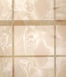 SHEER DIAMOND COPPER