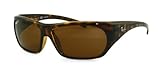 Ray Ban Rb4111 Light Havana Polarized