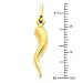 GM Fine Jewelry 14K Yellow Gold Cornicello Italian Horn Pendant