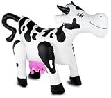 Sexy cow pat