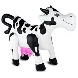 Sexy cow pat
