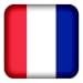 French Vocabulary Flashcards & Quiz