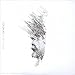 Music : In My Place