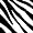Zebra Print