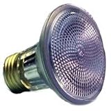 Double Life Long Neck Halogen Bulb, 50 Wide