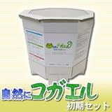 ���R�ɃR�K�G���@�����Z�b�g�@�����S�~�����L�b�g