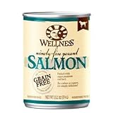 Wellness 95% Salmon Canned Dog Food
