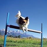 Agilite Dog Training Hurdle