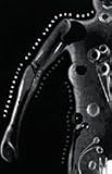 Technologies of the Gendered Body: Reading Cyborg Women