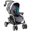Centro Stroller - 2006 Anice