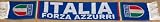 Italy Soccer Team Scarf
