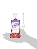 Dial Complete Foaming Hand Wash Antioxidant, Power Berries 7.5oz