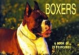 Boxers
