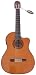 Valencia CG190CE Classical Acoustic-Electric Guitar with Cutaway