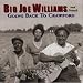Big Joe Williams-Going Back to Crawford