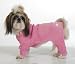 Cheap dogs clothes UK 317TTCI9YiL. SL75 Cheap dogs clothes UK