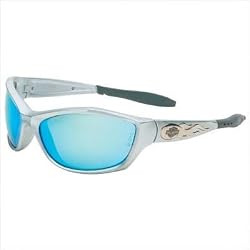 HD 1000 Series Safety Glasses Style: Frame:Black, Lens Tint:Gray (HD1001)