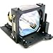 LUXEON 124BN41 Replacement Projector Lamp for LUXEON LM-X25