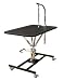 Pet Supplies : Professional Hydraulic Dog Grooming Table w/ Lock Wheels