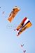 Wallmonkeys Peel and Stick Wall Decals - Support of Dutch Soccerteam in the Netherlands - Removable Graphic