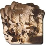 MEERKATS FAMILY Set of 4 Coasters