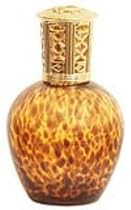Classic Tortoise Fragrance Lamp by New Leaf
From Classic Tortoise Fragrance Lamp by New Leaf
