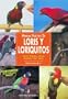 Manual practico de loris y loriquitos/ Guide to Owning Lories and Lorikeets (Animales De Compania/ Companion Animals) (Spanish Edition)