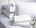 AMERICAN PILLOWCASE Luxury Egyptian Cotton 300 Thread Count 2-Piece Pillow Sham Set 21 x 26 Inch - Standard, White
