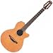 EAN30C Acoustic Electric Guitar