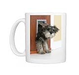 Photo Mugs of DOG. Schnauzer puppy coming through cat flap from Ardea Wildlife Pets